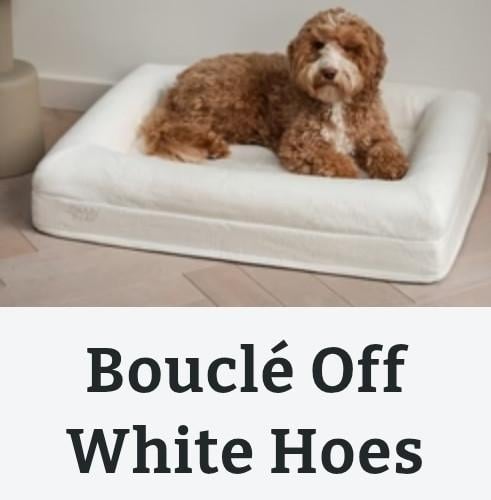 Hondenkussen Buddy Bed