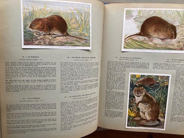 Boeken