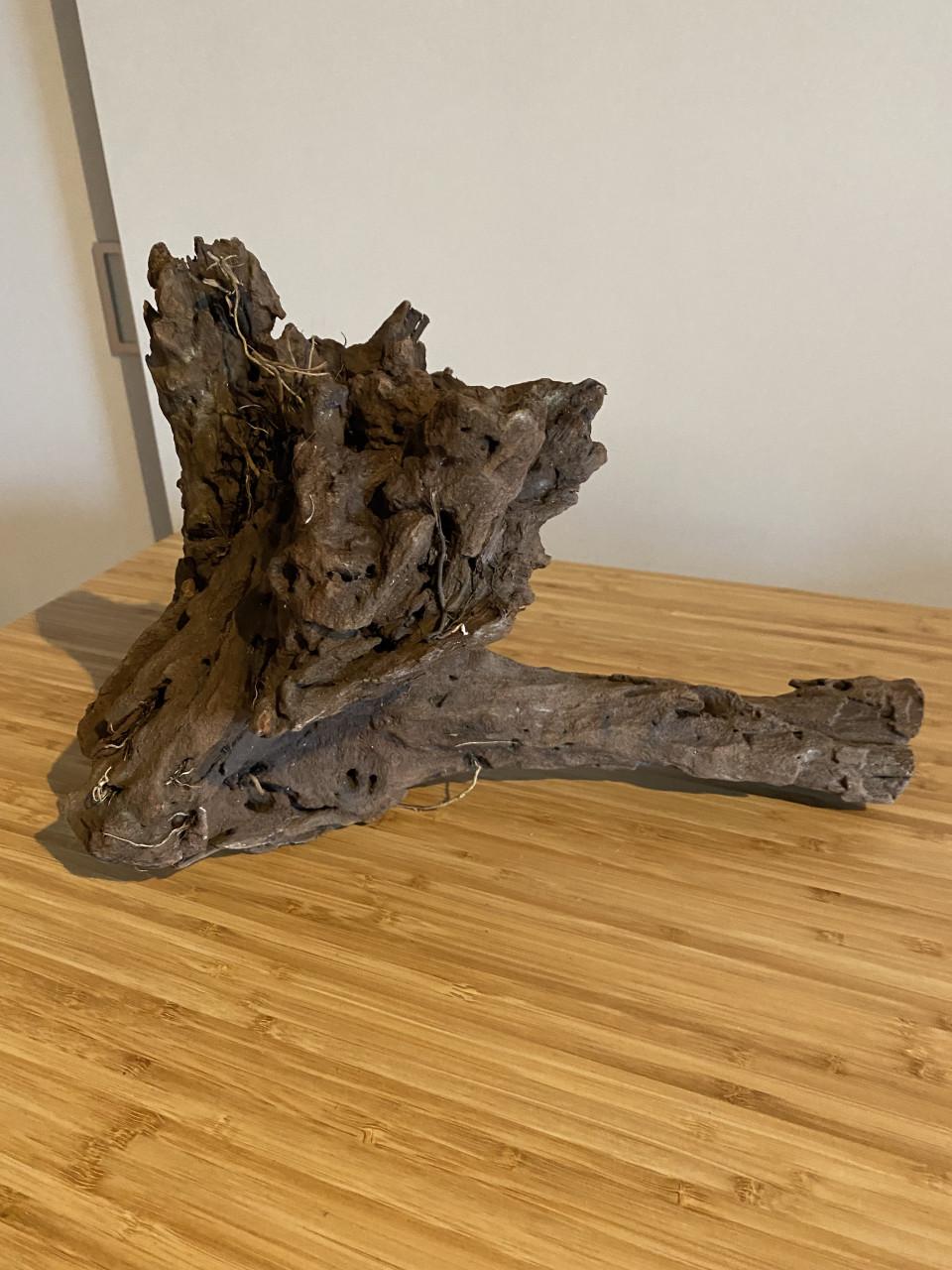 Mangrove hout voor in aquarium