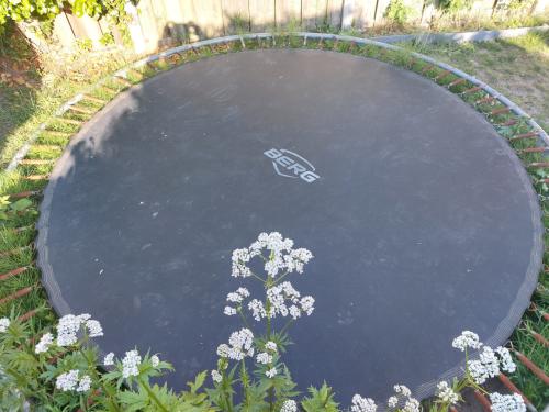 Berg trampoline 3 meter