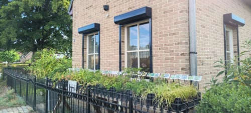 Opzoek naar sterke tuinplanten, veilig voor vlinders en bijen!  €1,25 p/st.