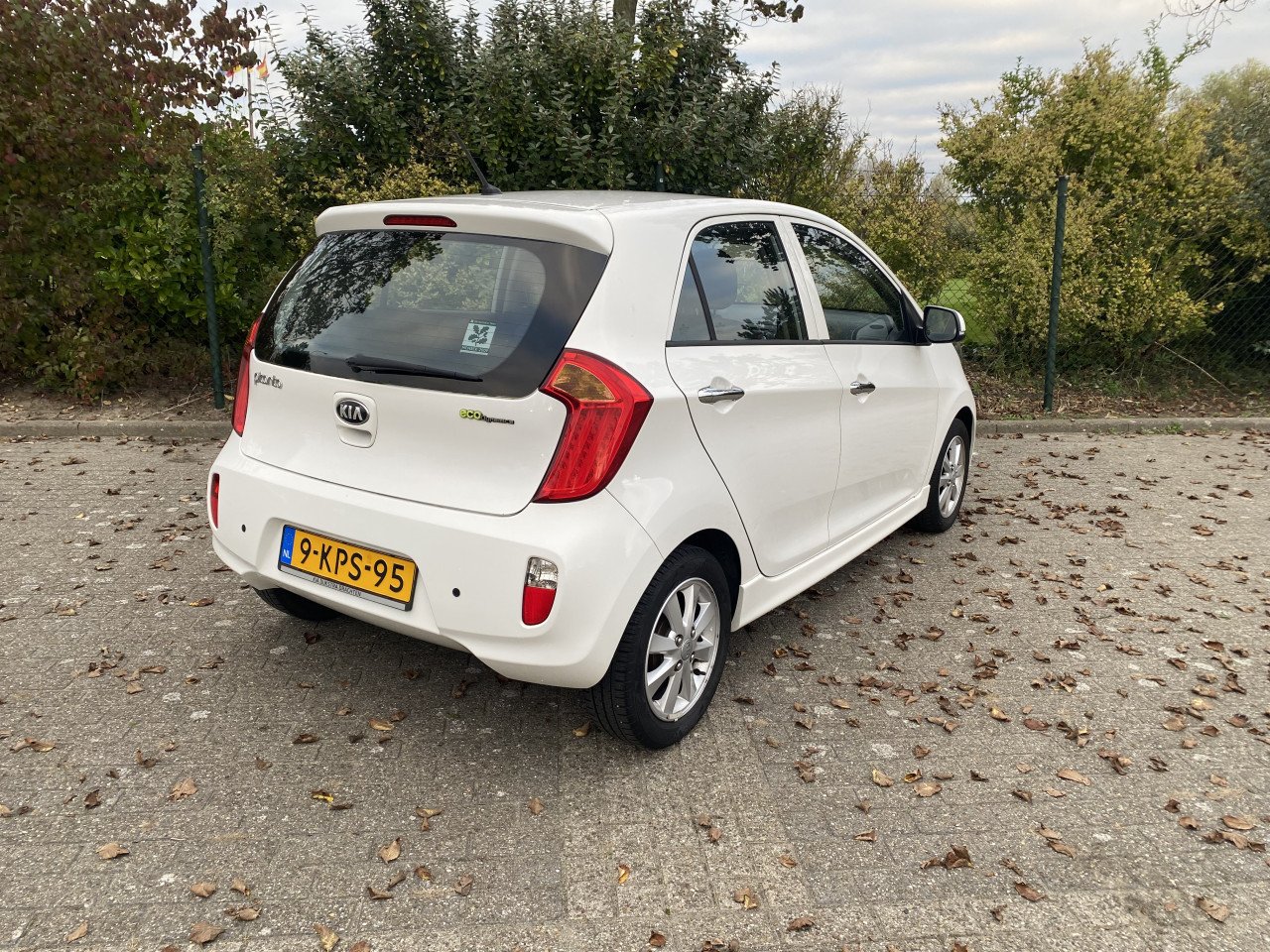 Te koop Kia Picanto
