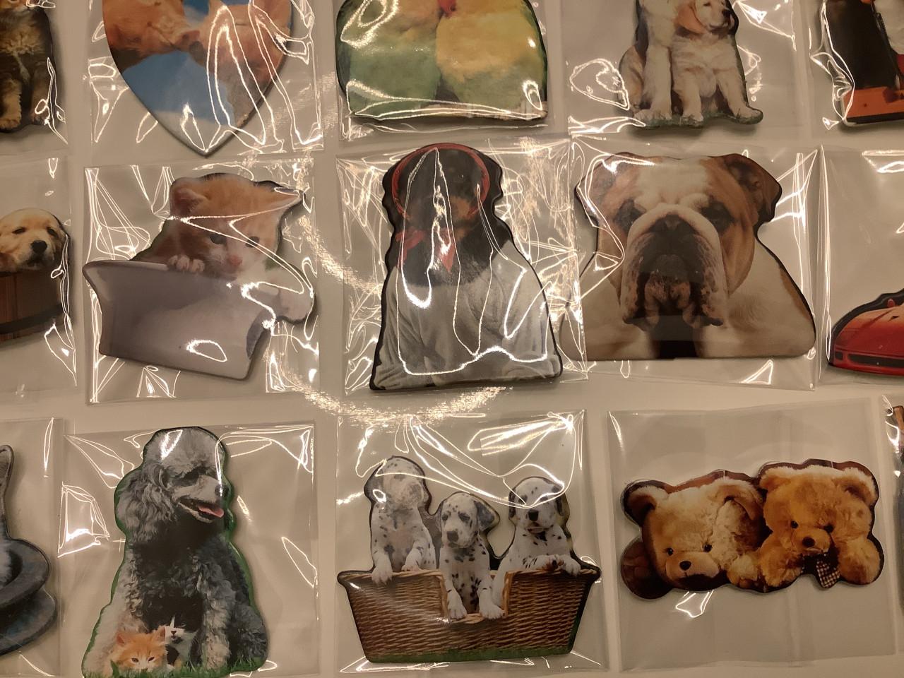 Partij super leuke magneetjes ( partij 21)