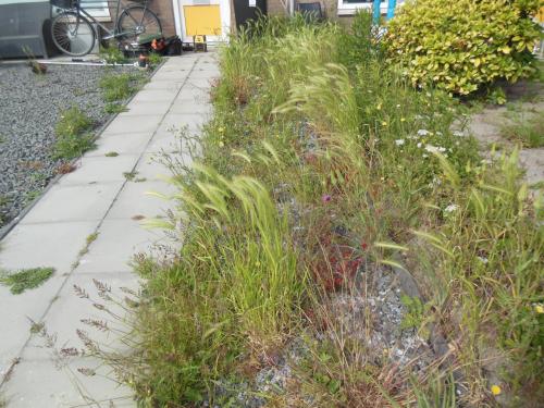 Uw tuin al lenteklaar?