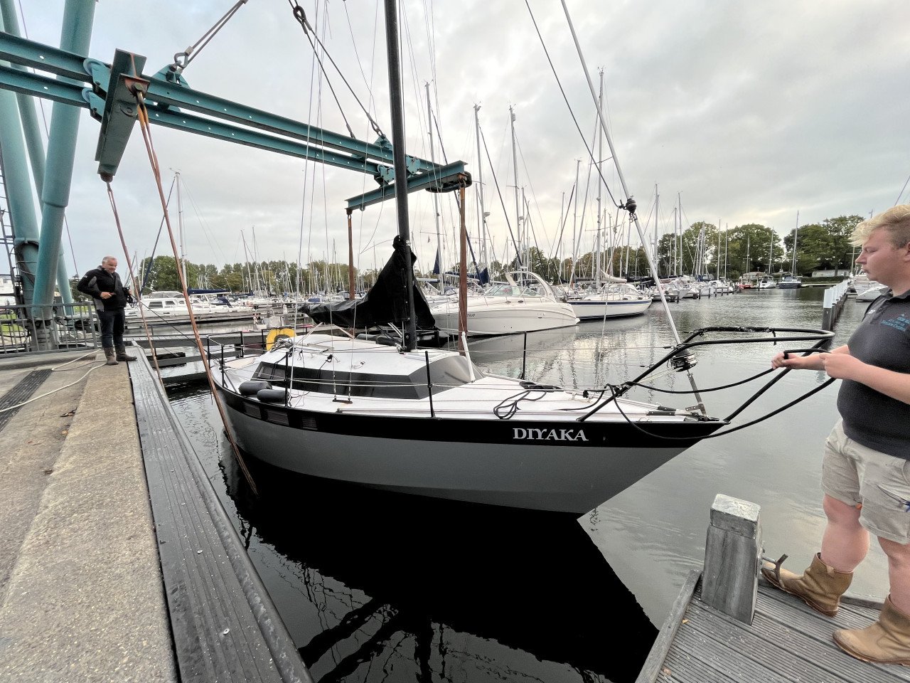 Wibo835