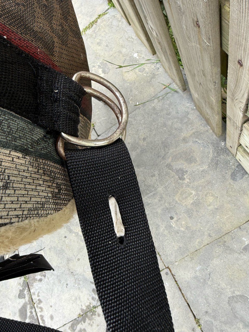 Barebackpad paard