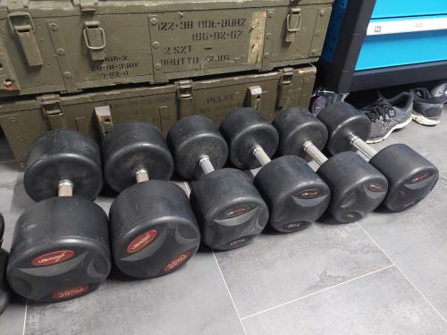 Lifemaxx dumbbells 24, 28 en 38 kg