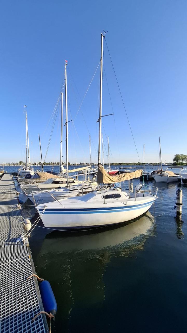 Zeilboot Kelt 5.50