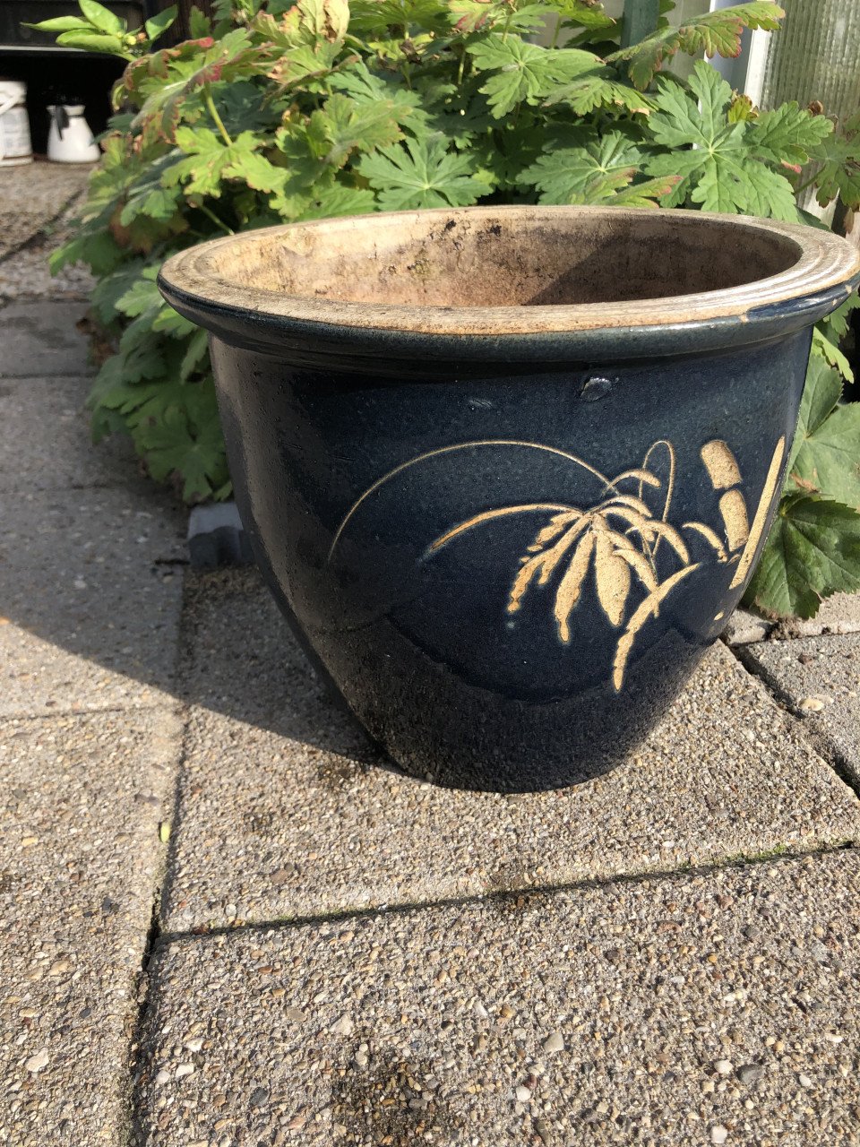 Bloempot