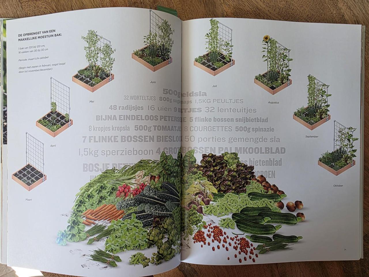 Moestuinbak 120x120 H95