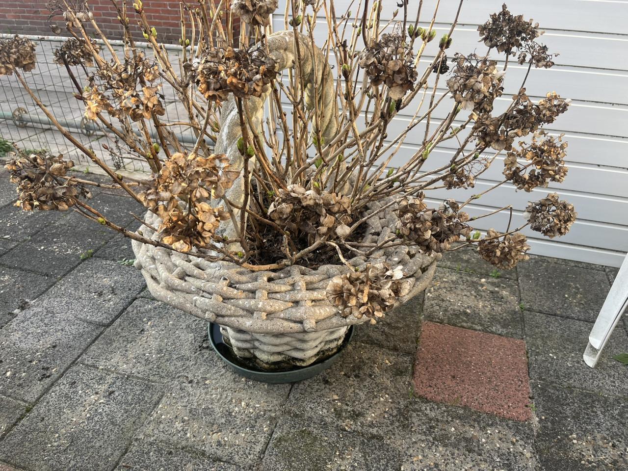 Bloemenmand \ plantenbak van gegoten steen,