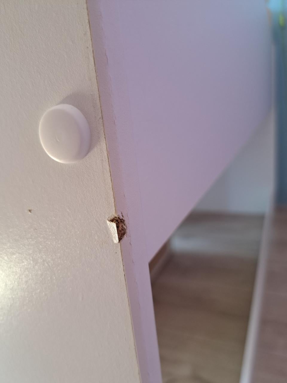 Halfhoogslaper Beau