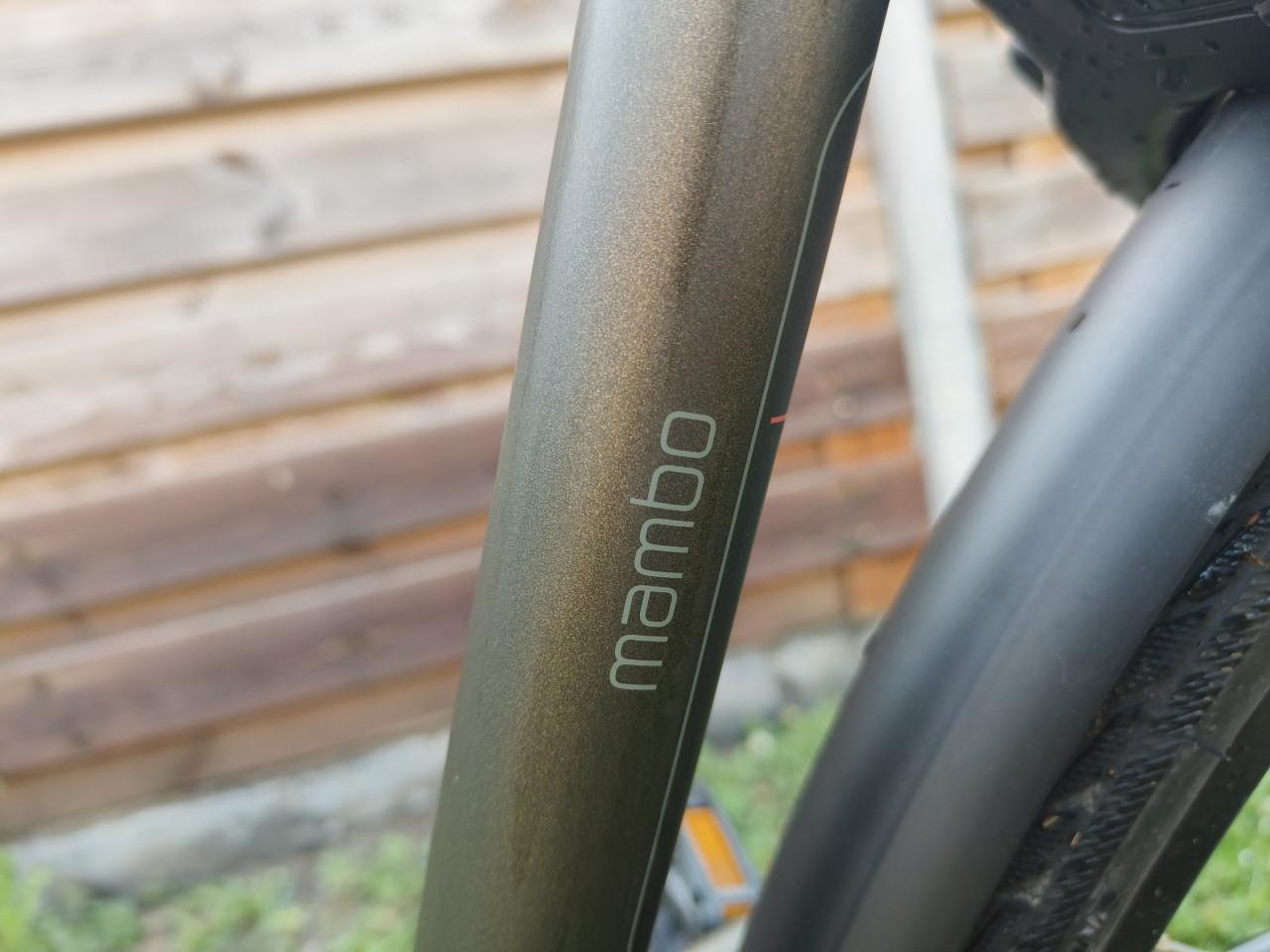 Batavus Mambo 53cm