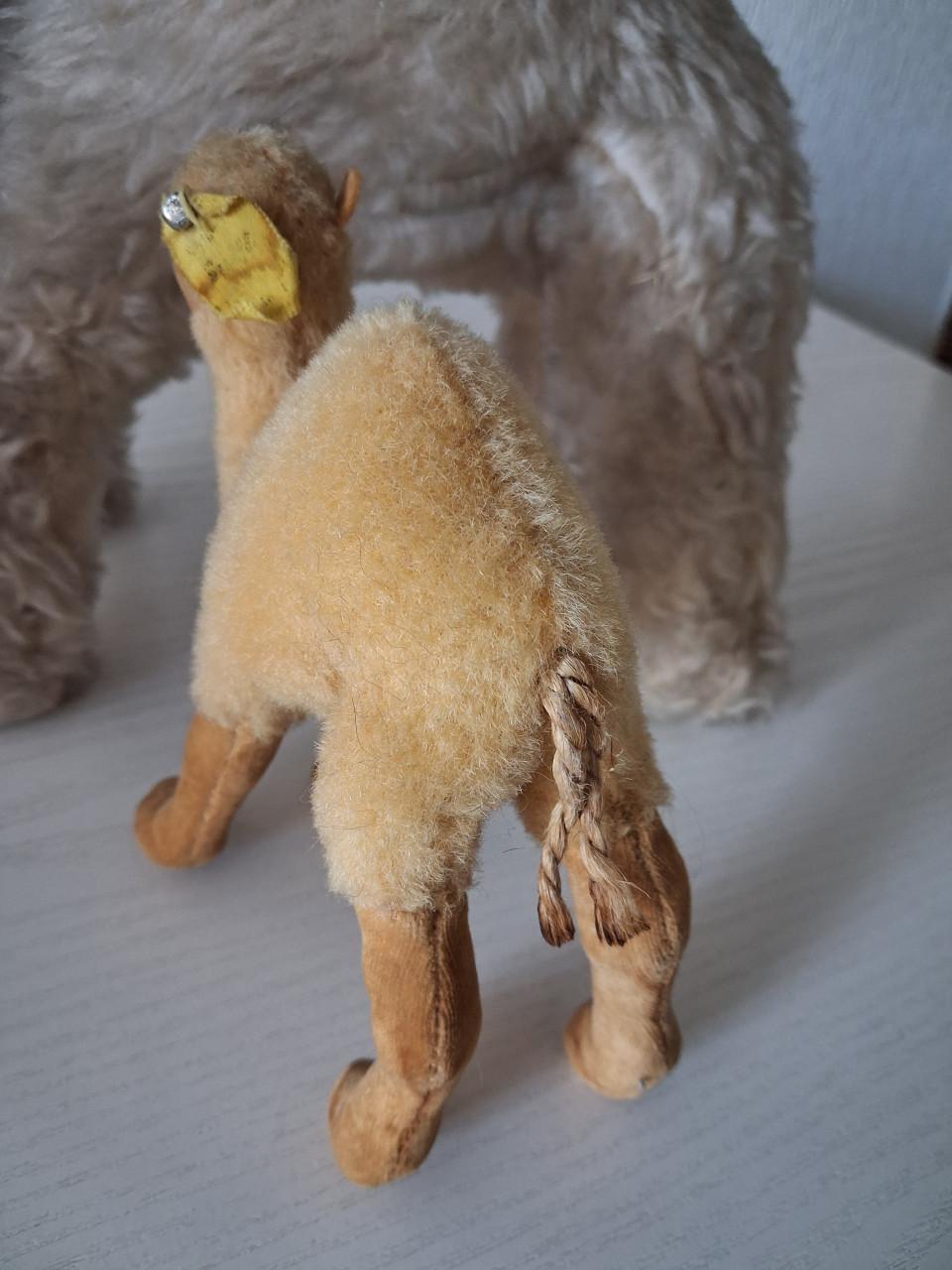 Vintage Mohair en Steiff dromedarissen