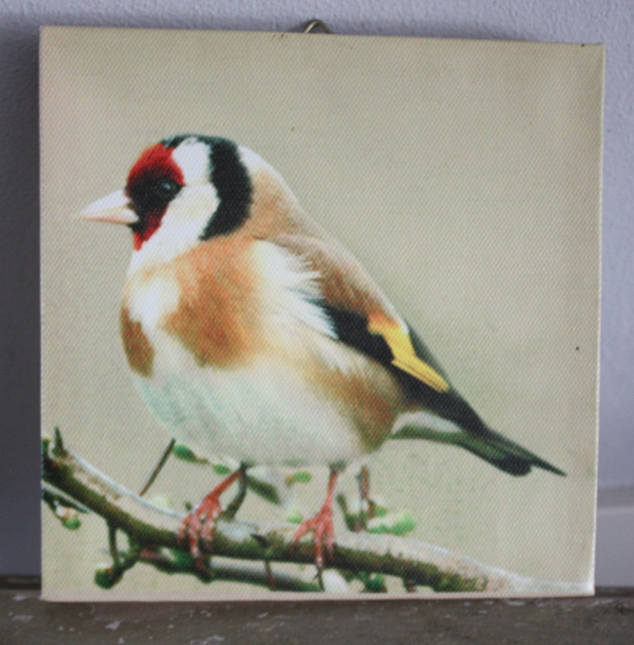 Canvaslijstje met vogel