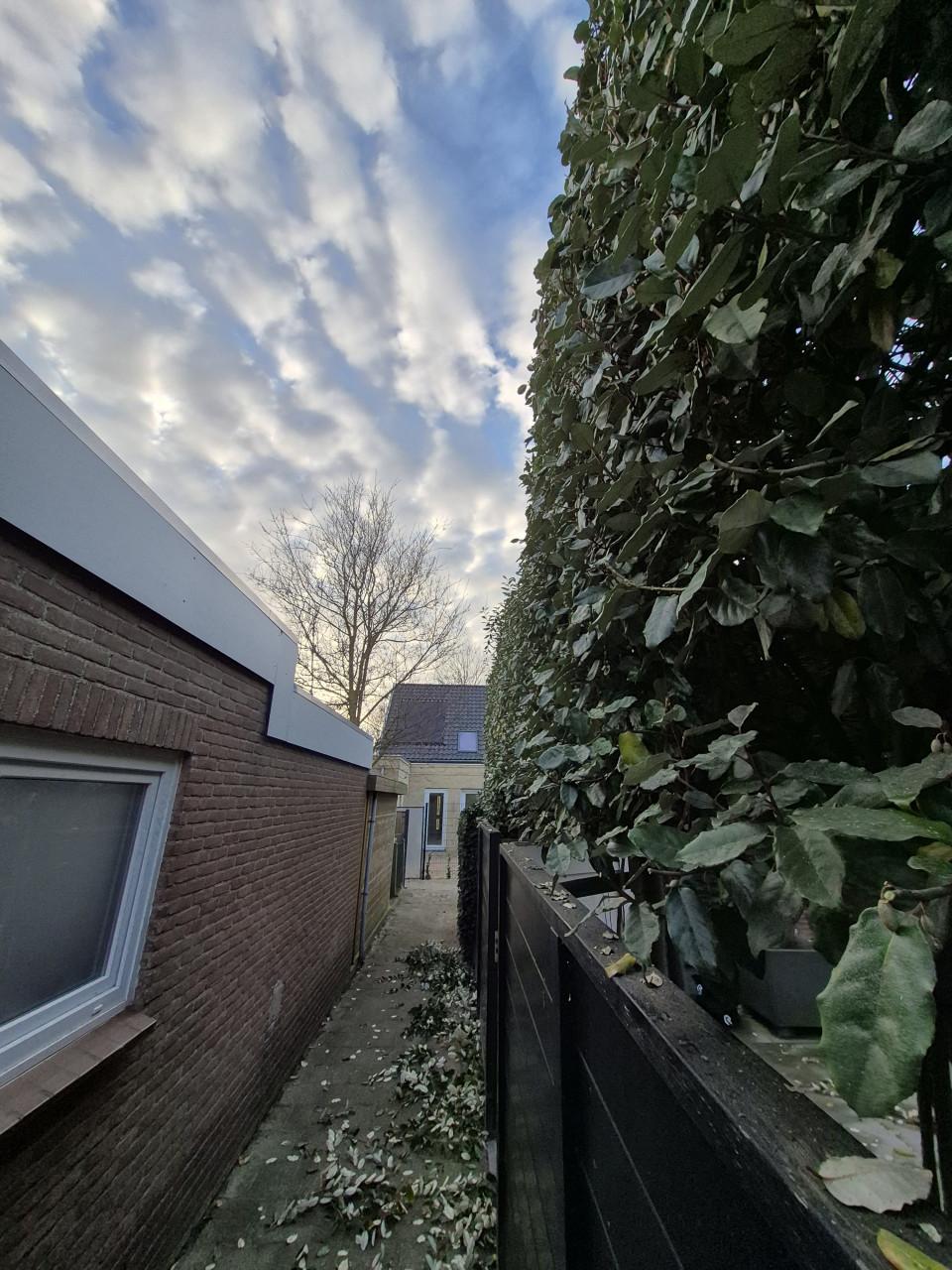 Betaalbare en Betrouwbare Tuinman nodig? Beschikbaar!!
