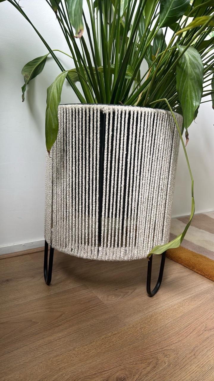 Grote Vredeslelie kamerplant in pot