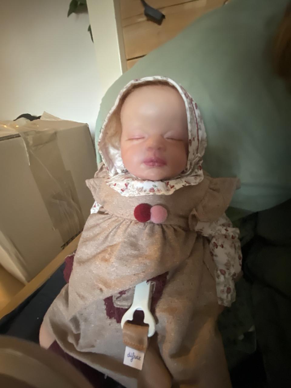 30 reborns voor 500euro