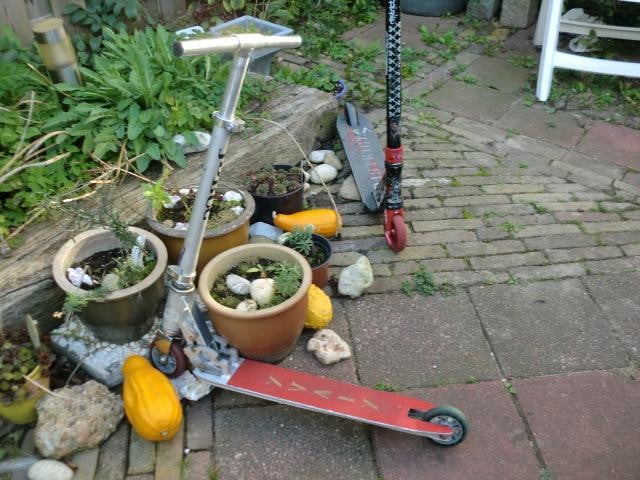4 x STEP Maxi-Step 20inch & Mini-Step Schommel-Step & gewone Step 12inch