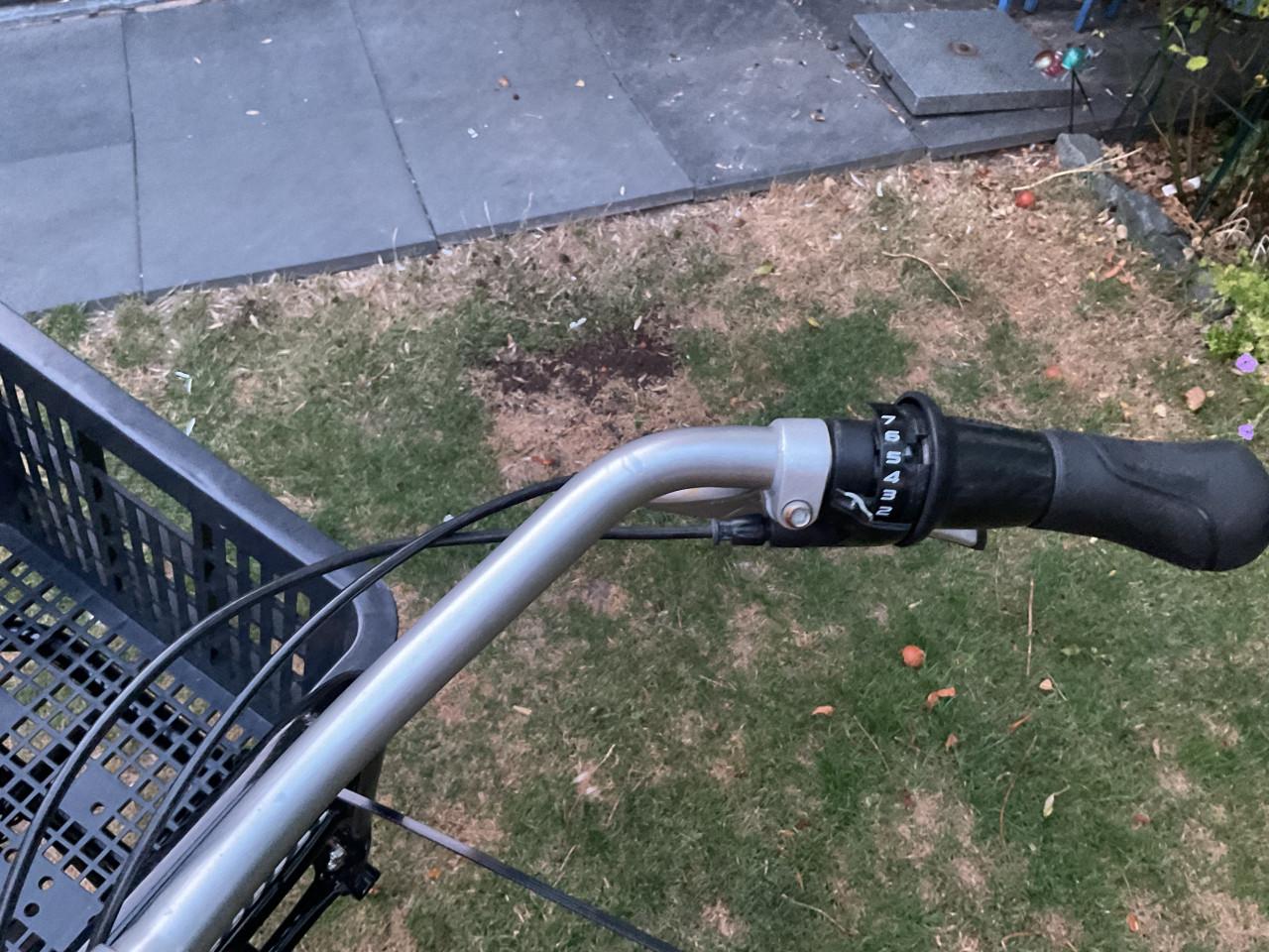 Fiets meiden