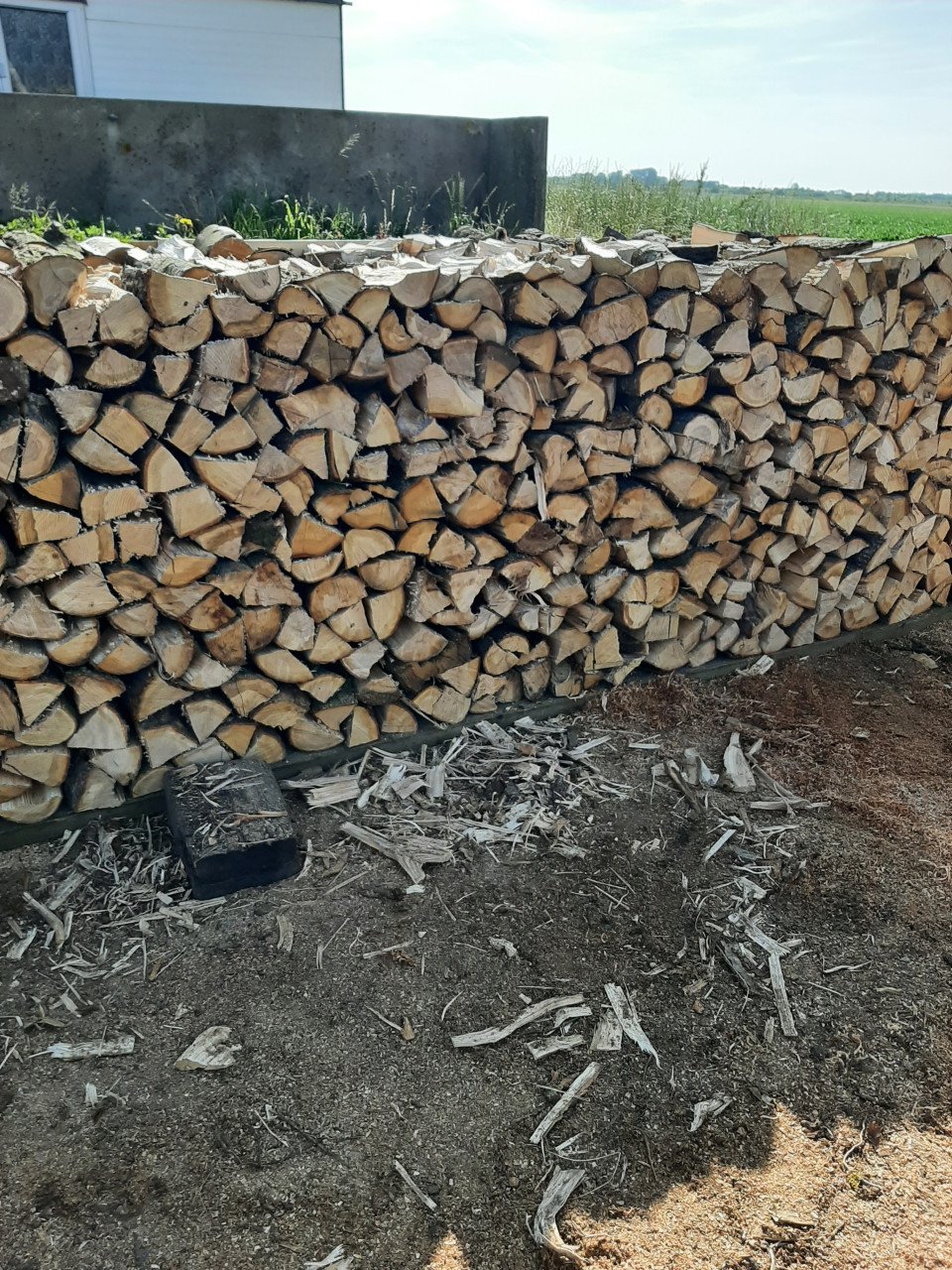 Haardhout