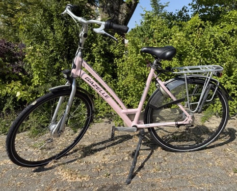 Nette Gazelle Chamonix