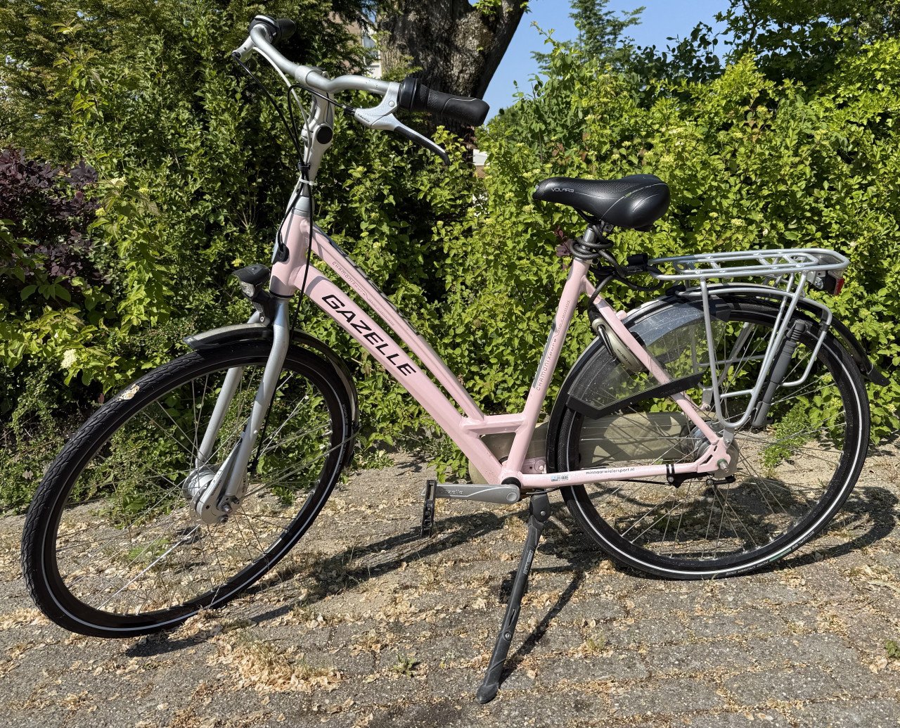 Nette Gazelle Chamonix