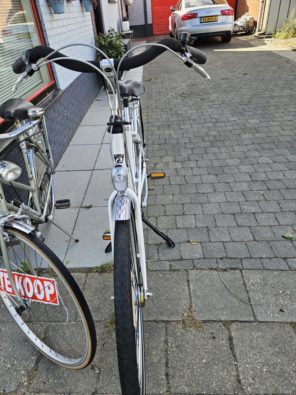 Mooie Batavus mambo delux