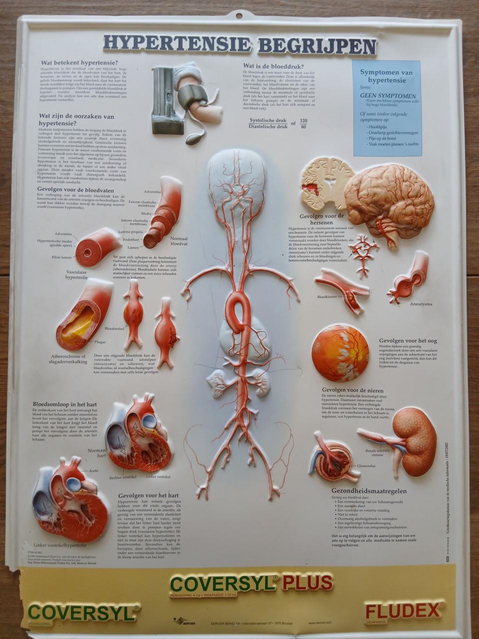 Antieke medische posters
