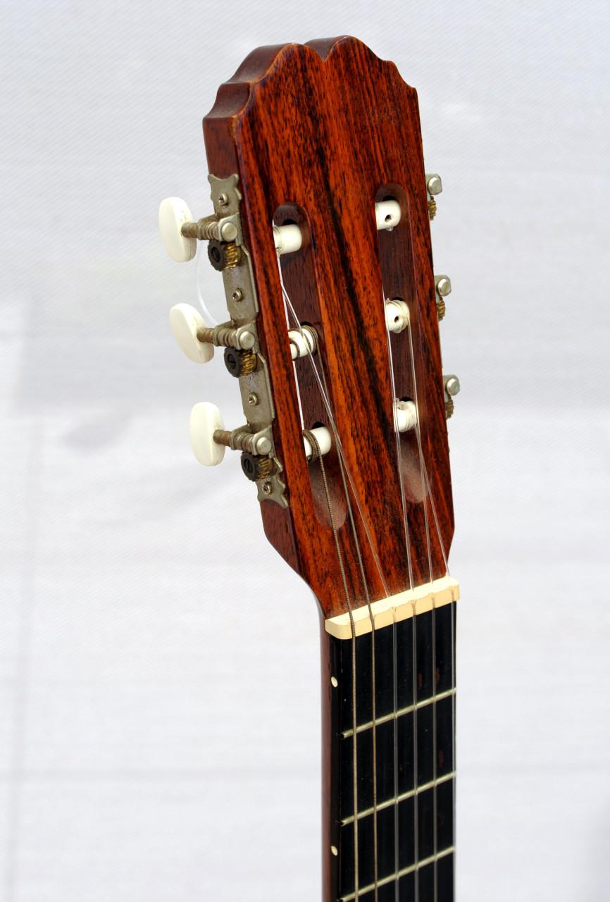 Gitaar
