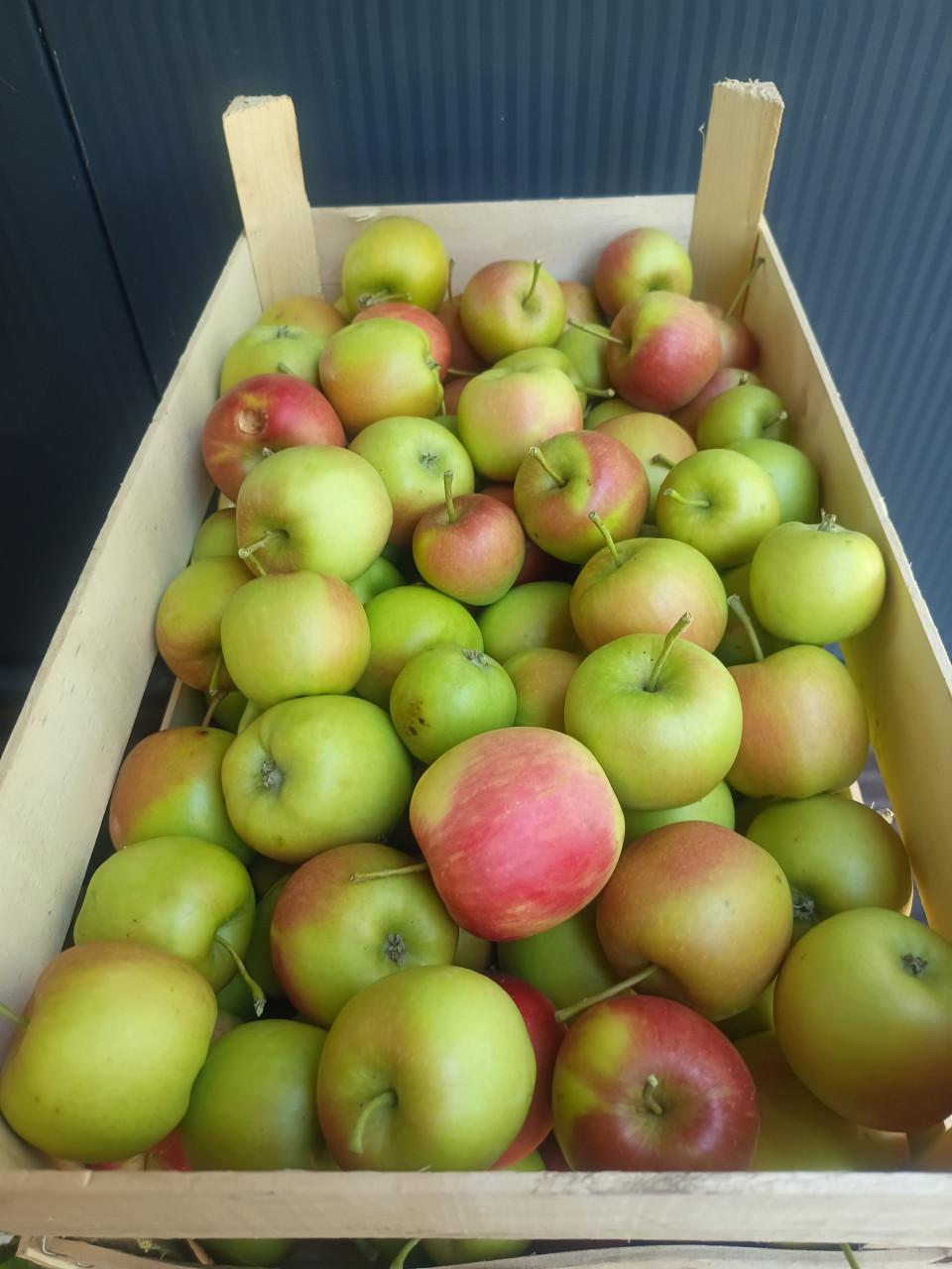 Verse 'sap' appels!