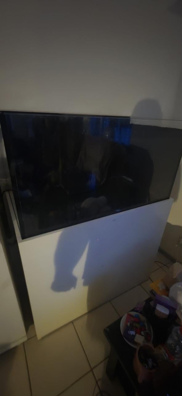 Aquaja diamond aquarium zoetwater zoutwater