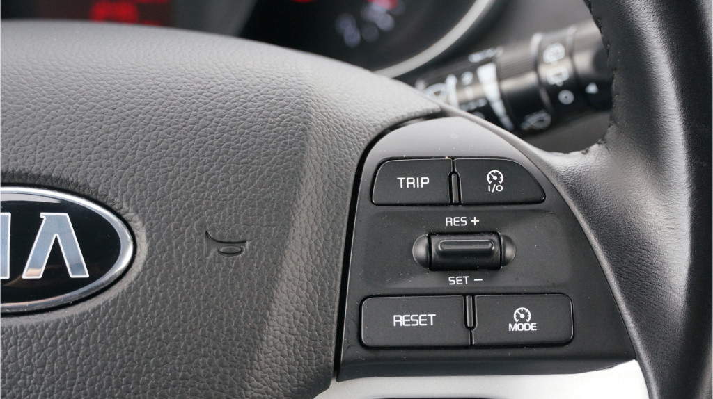 Kia Picanto 1.0 cvvt dynamicline rijklaar incl garantie