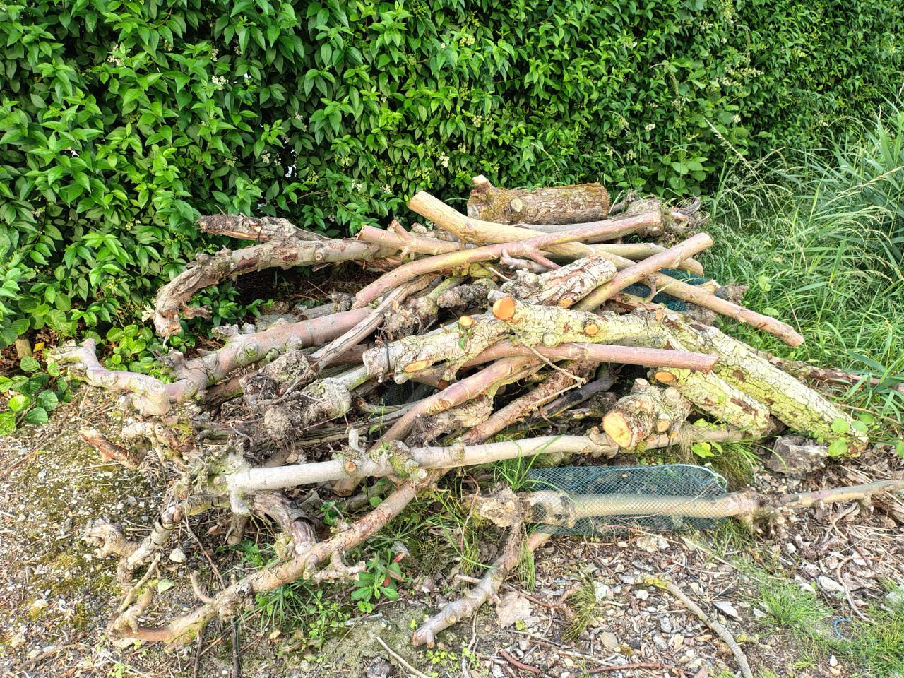 Openhaard hout haardhout