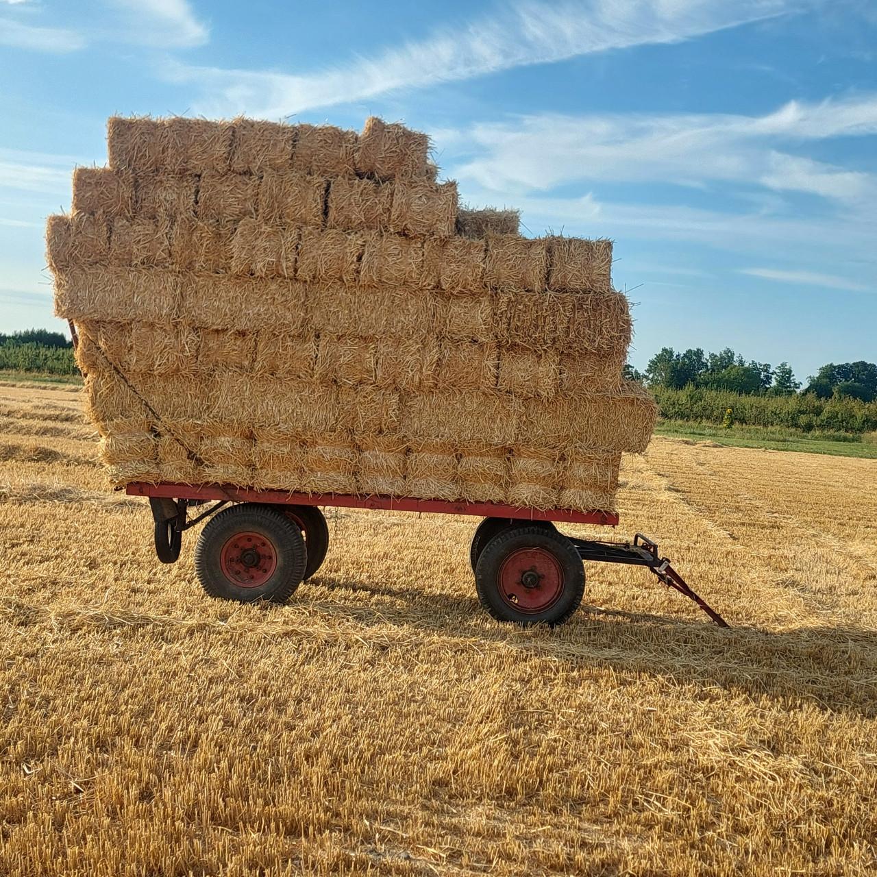 Te Koop hooi en stro