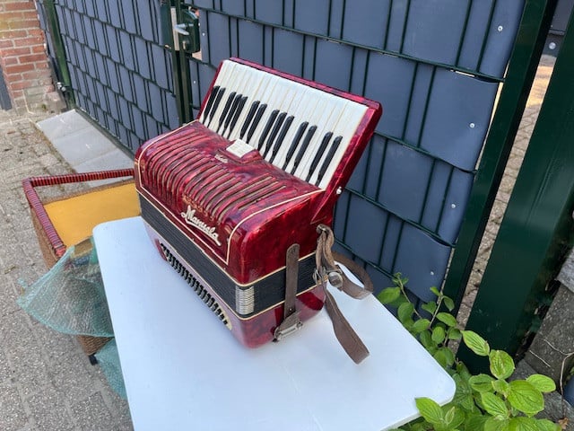 Accordeon Manuela Leclin met riemen en koffer