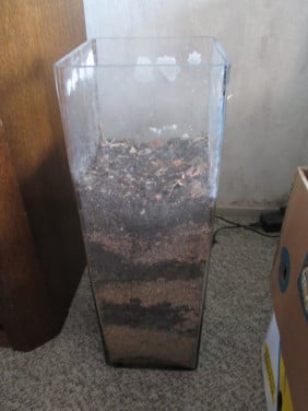 Hoge glazen accubak voor planten/ bloemen?