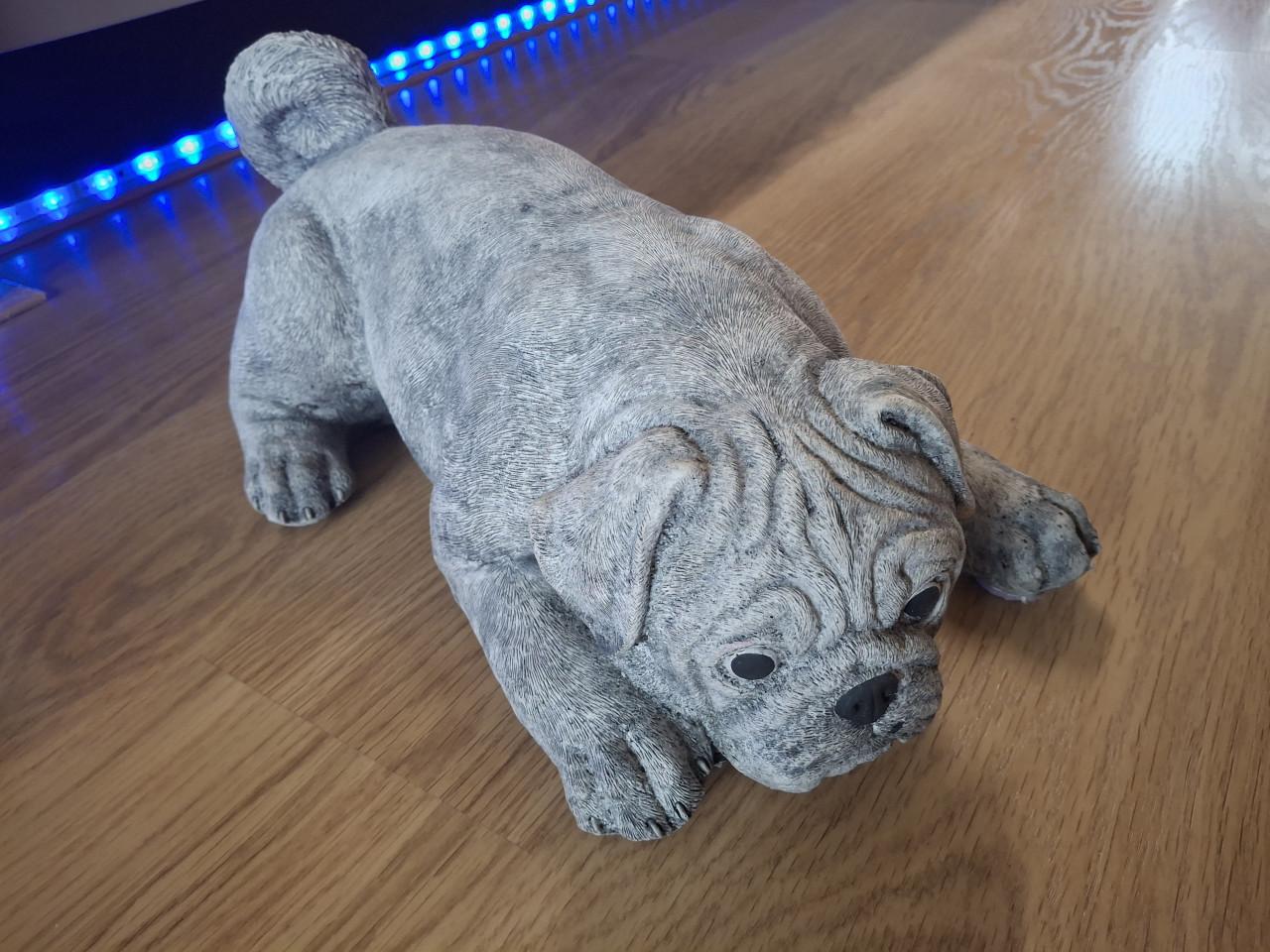 Betonnen beeld van liggendeMopshond