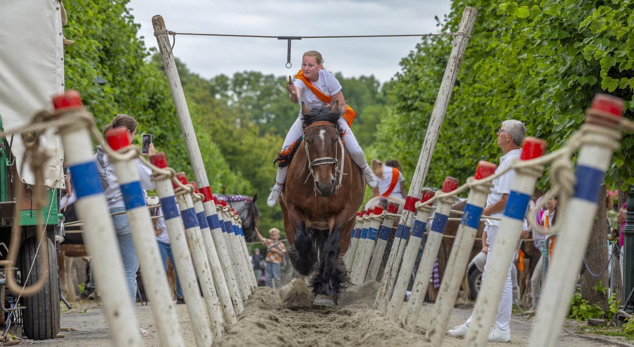Zat 6 Sept +200 deelnemers rommelroute + ringsteken + duurzaamheidsplein