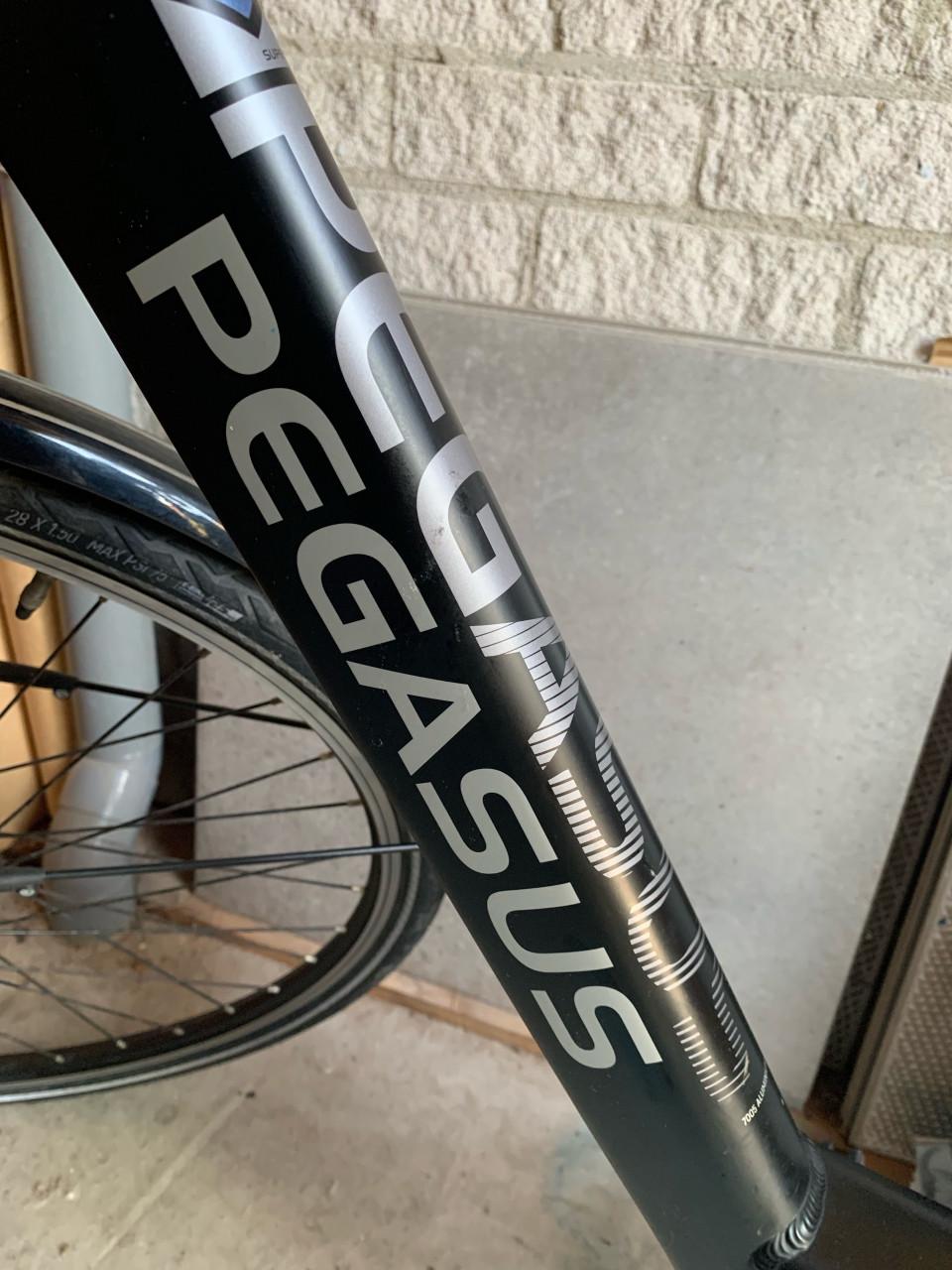 Electrische dames fiets