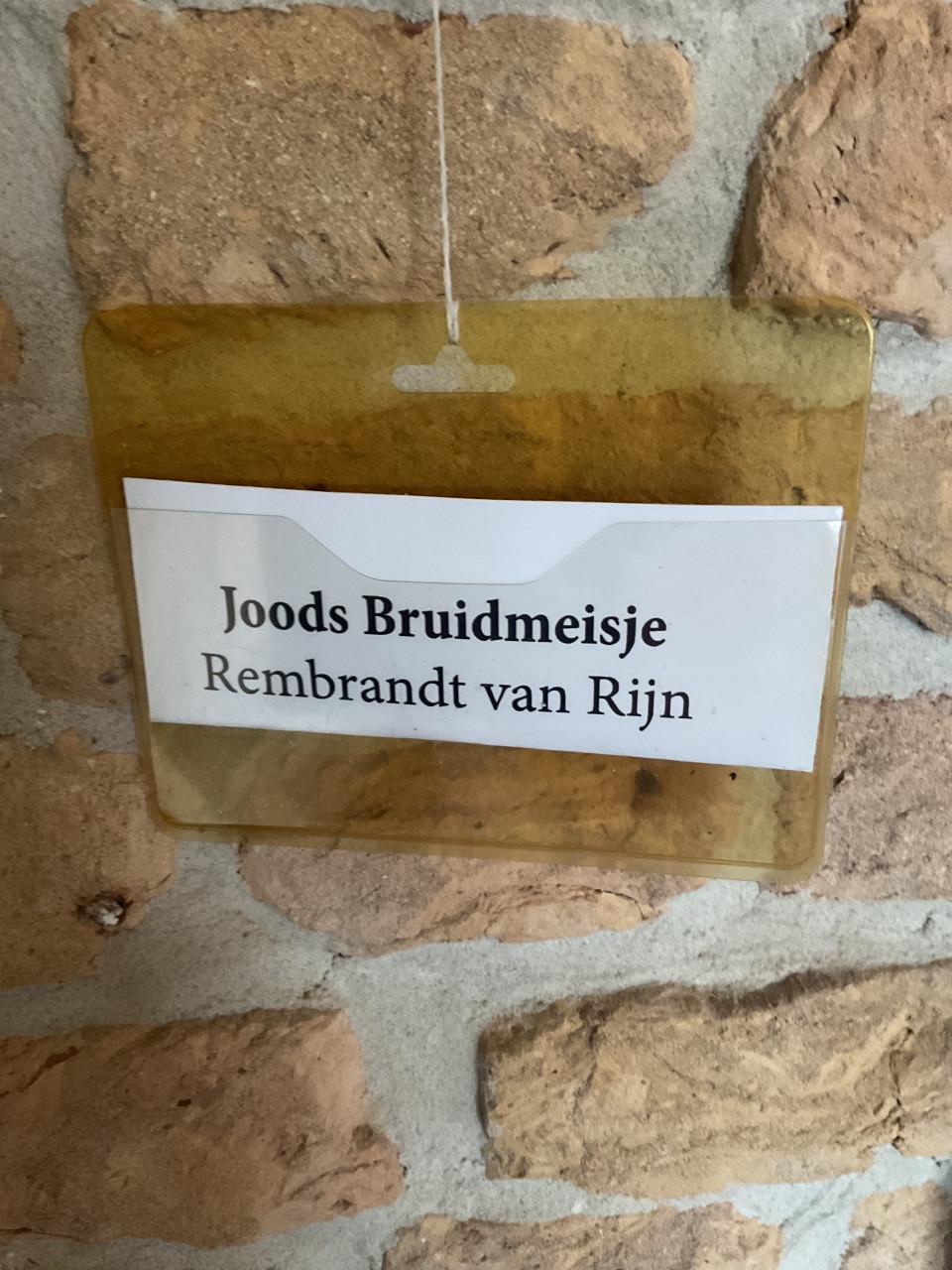 Joods bruidsmeisje ( Rembrandt v. Rijn )