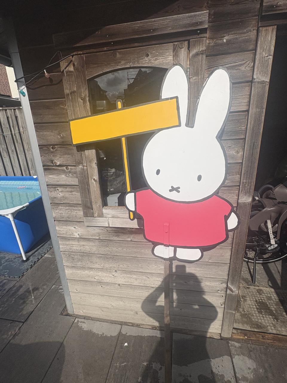 Geboorte bord Nijntje zelf gemaakt