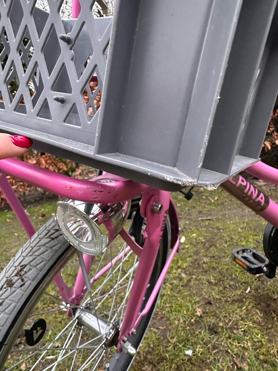 Meisjesfiets - 20 inch - Alpina Cargo Fuchsia Pink Matt