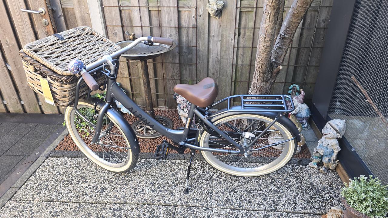 Te koop Alpina 24 inch stoere meiden fiets