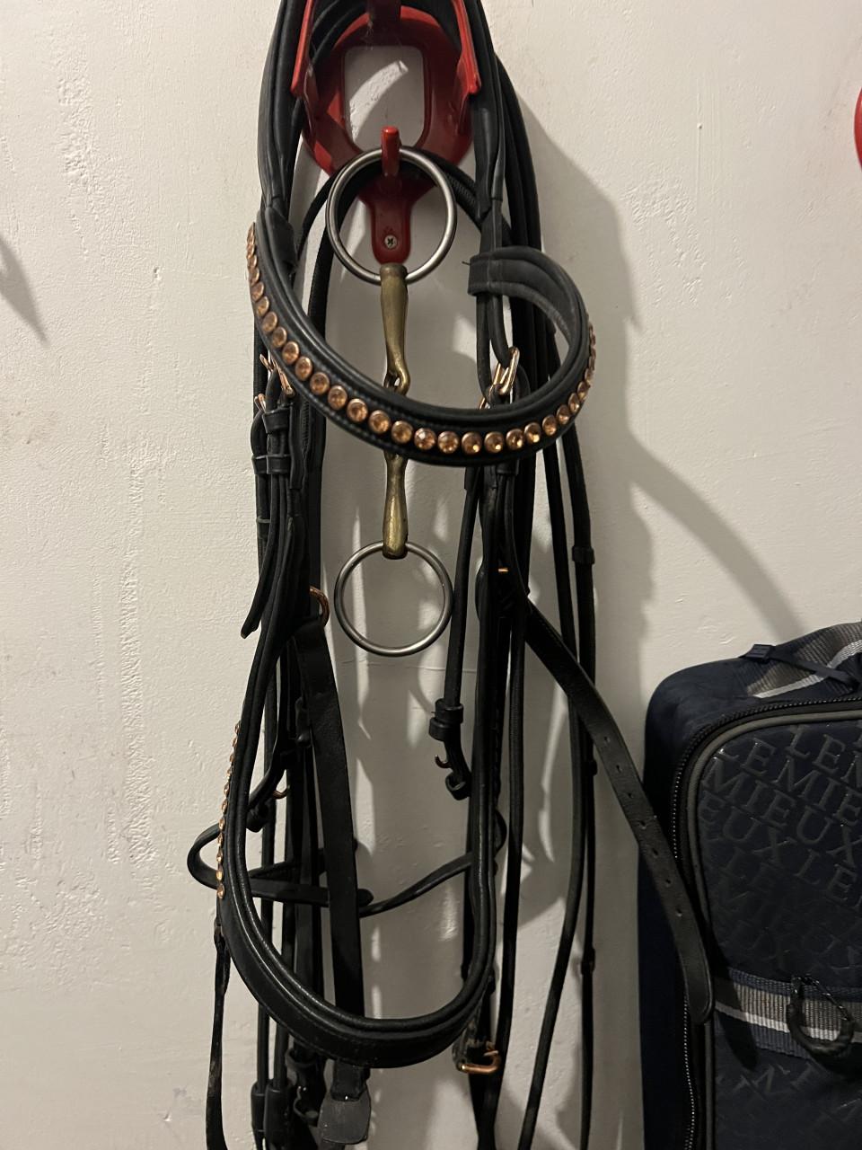 Anatomisch hoofstel COB