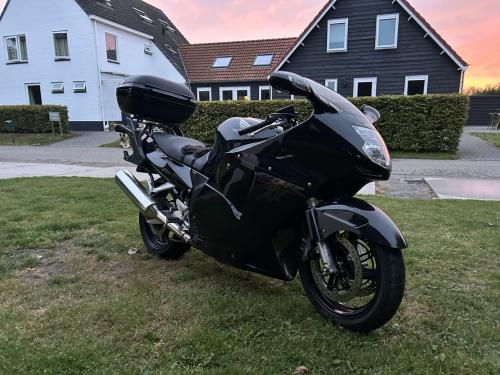 Te koop Motor Honda Black Bird