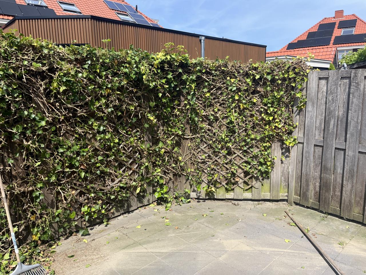 Hardhoutenschutting circa 18m inclusief poort en palen