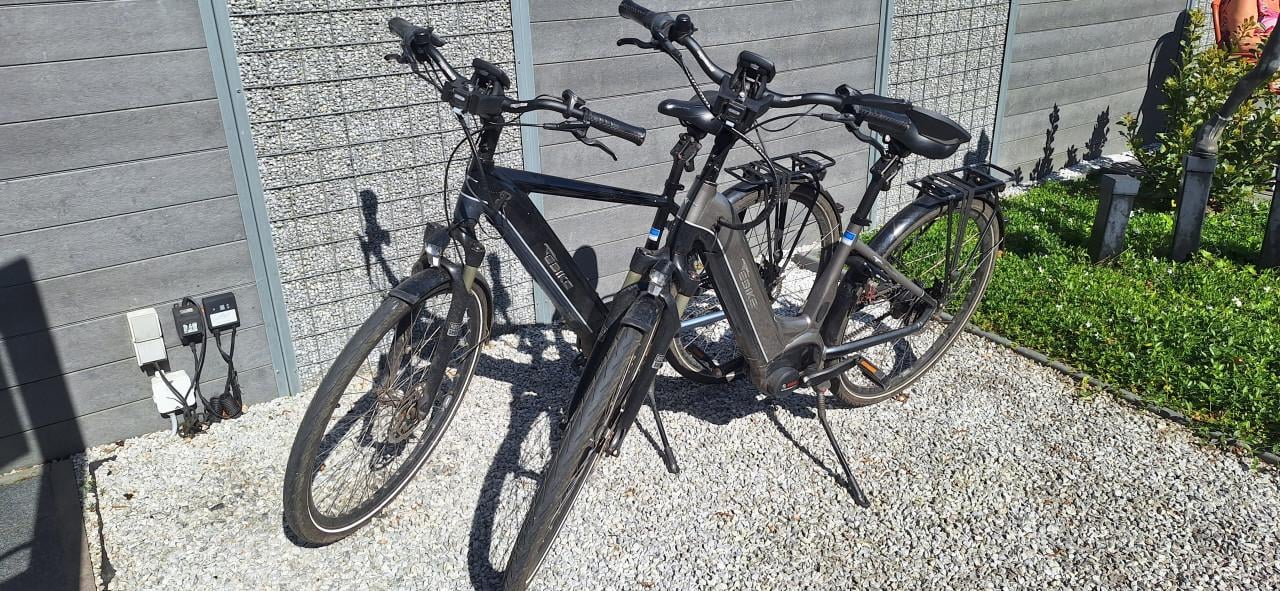 Te koop E-bike das Original elektrische herenfiets