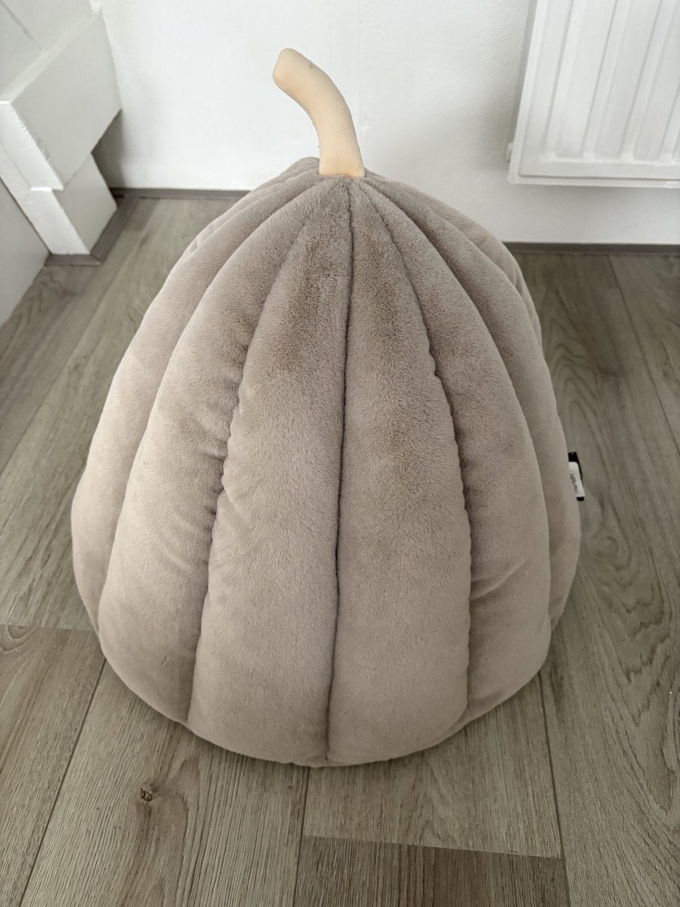 Mand Pompoen Kat