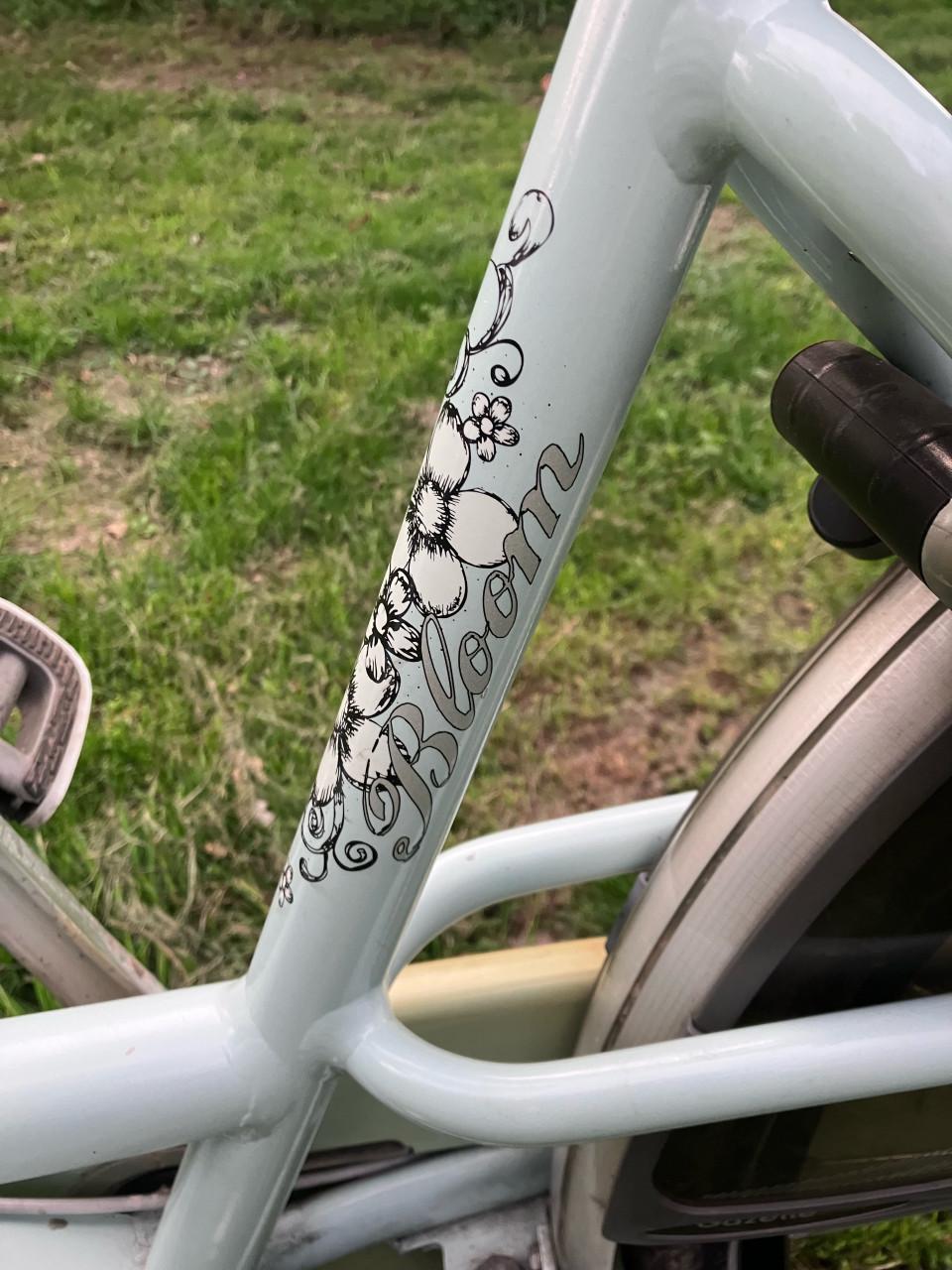 Gazelle Bloom moederfiets met twee Yepp stoeltjes